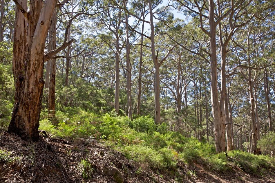 Shackleton Estate Leeuwin-Naturaliste National Park